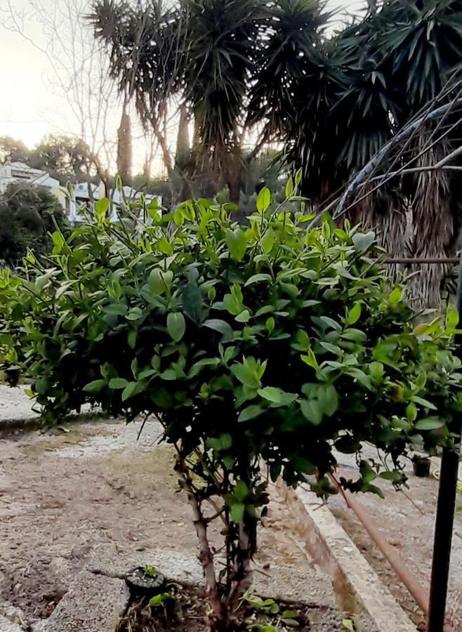 Gioda Studios Perama (Corfu) Exterior foto